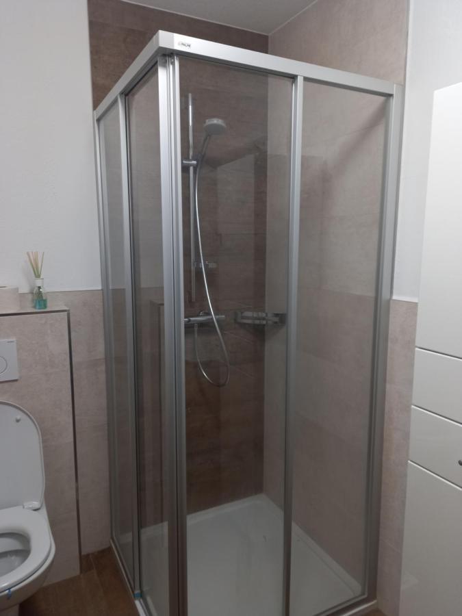 Grosszuegiges Apartment Georg Mayrhofen Barrierefrei Hollenzen المظهر الخارجي الصورة