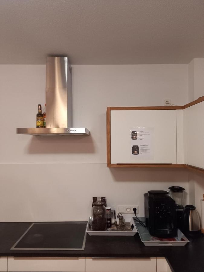 Grosszuegiges Apartment Georg Mayrhofen Barrierefrei Hollenzen المظهر الخارجي الصورة